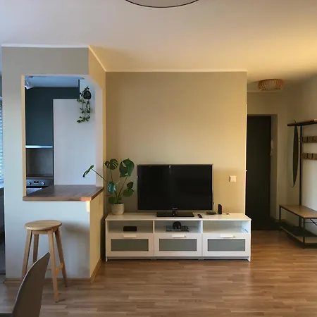 Apartment Panorama Majaka *