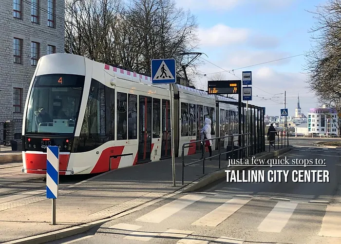 Panorama Majaka Reval