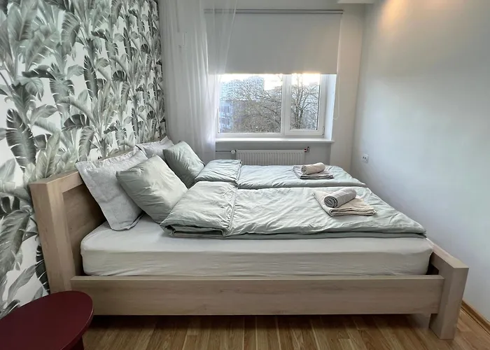 Panorama Majaka Reval